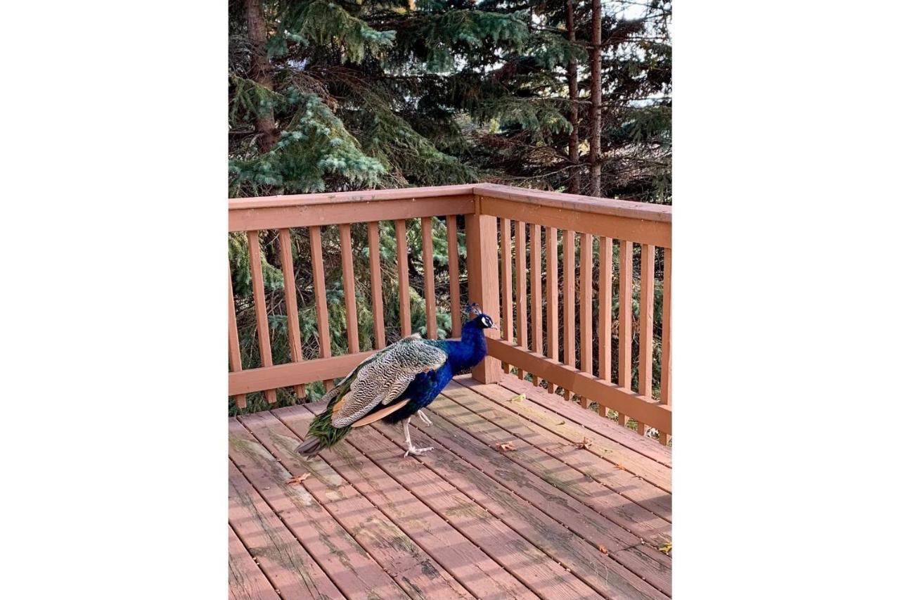 Lakeview & Wildlife Au Gres Exterior foto